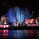 Winter festival Trees and light