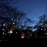 Winter festival Trees and light