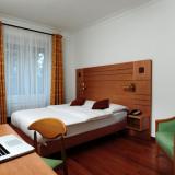 Room Hotel Eden Geneve