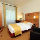Room Hotel Eden Geneve