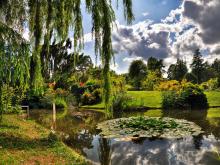 Botanical Garden Botanical Garden